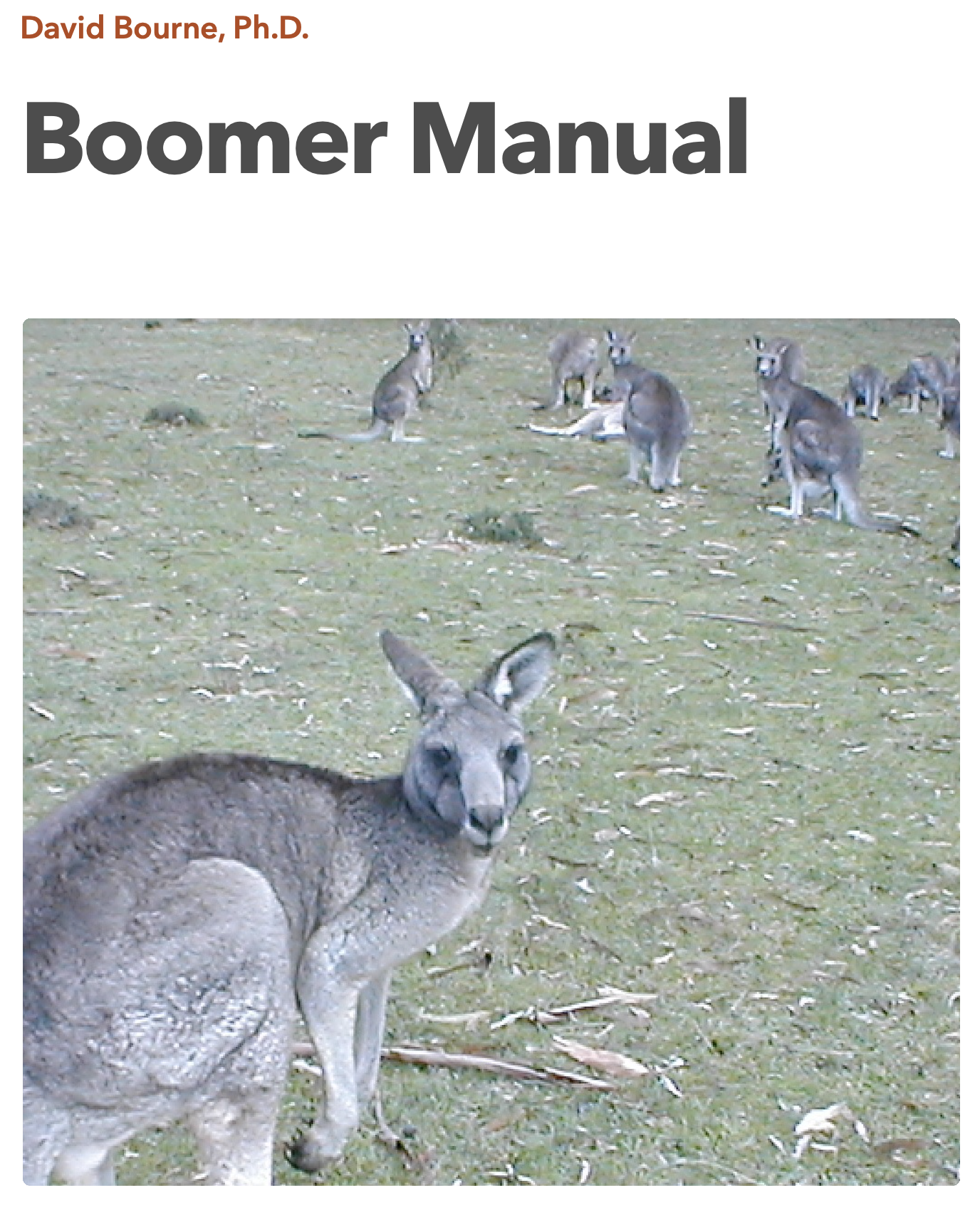 Boomer Manual cover page
